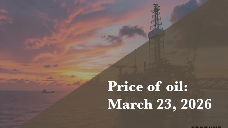 Oil rockets past $113 then dives 9.5% in three-day rollercoaster as Iran war jitters grip markets