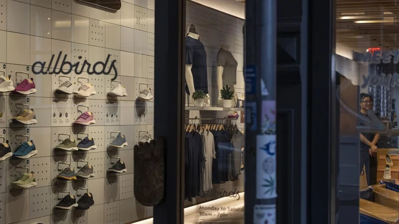Allbirds Sells Sneaker Brand for $39M, Rebrands as NewBird AI and Surges 373%