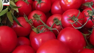 How a $93 Box of Tomatoes Became the New Symbol of America's Affordability Crisis